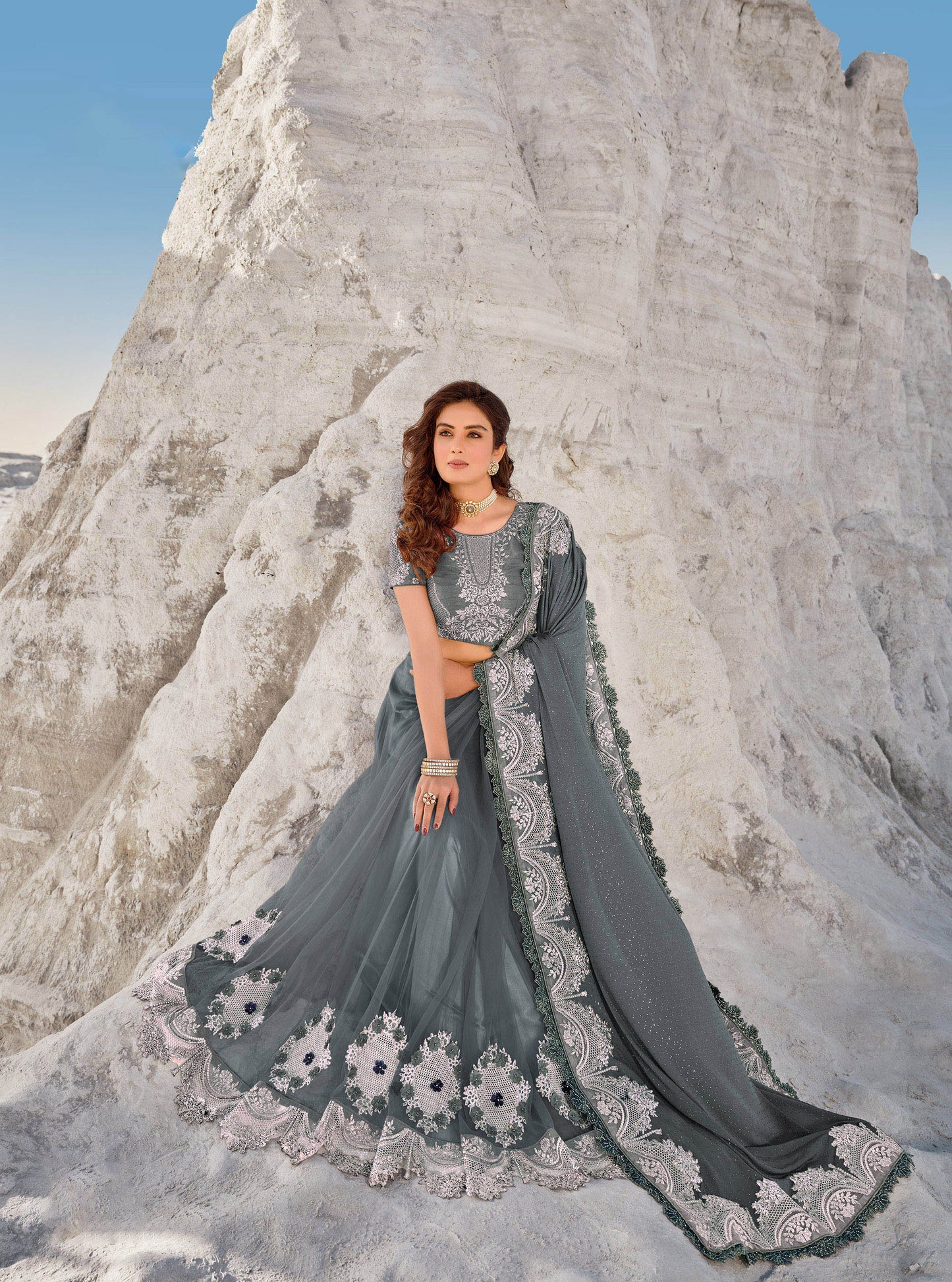 Grey Color Digital Net Heavy Flower Embroidery Sangeet Saree