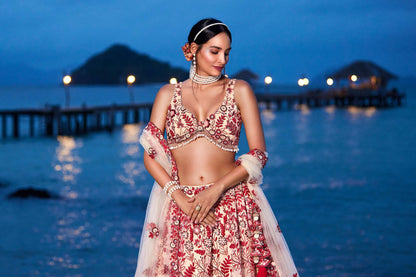 Peach Net Sequins, Mirror and thread embroidery Lehenga choli