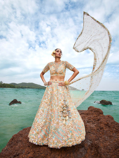 Cream Net Multi colour Sequins, Zarkans and thread embroidery Lehenga