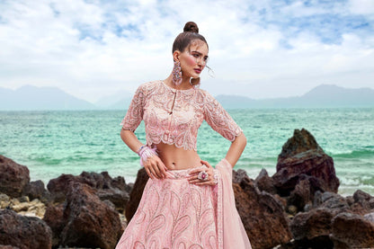 Coral Net Multi Sequins with heavy Zarkan embroidery Lehenga