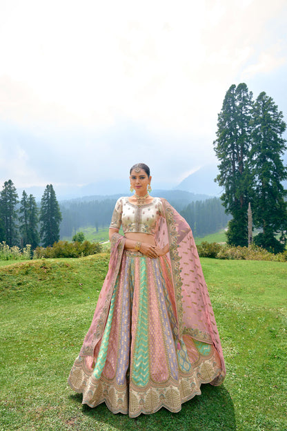 Multi Color Silk Heavy Embroidered Bridal Lehenga Choli - Rent