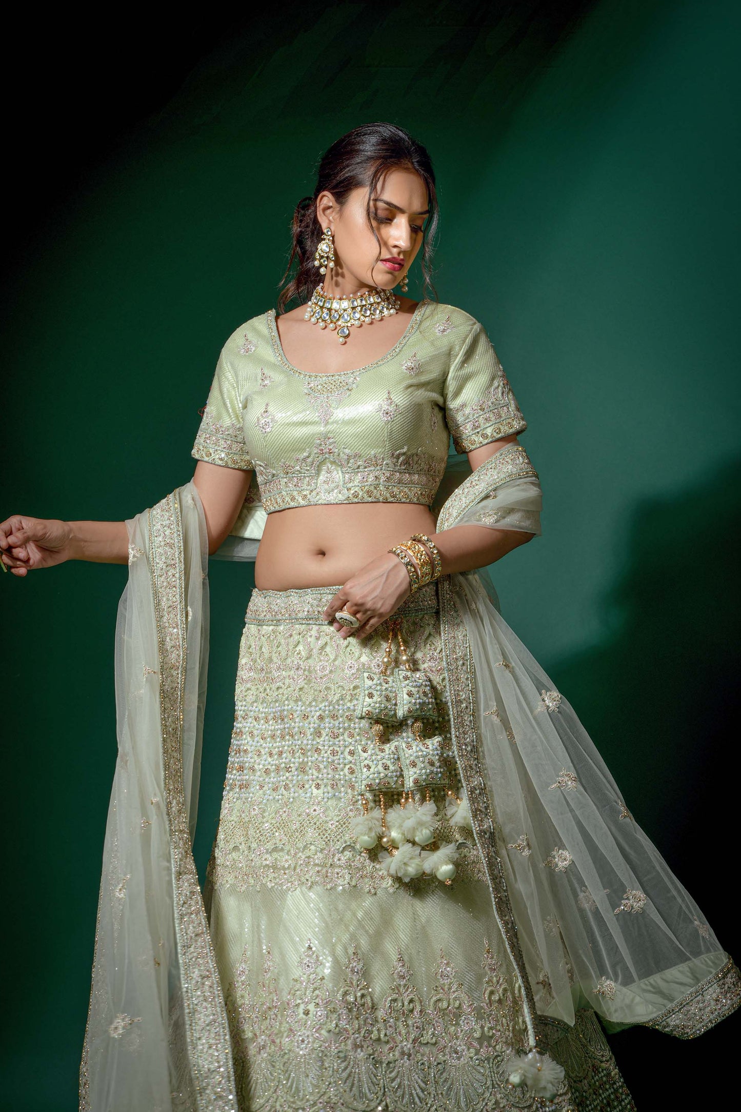 Elegant Light Green Zarkan Embroidery Lehenga