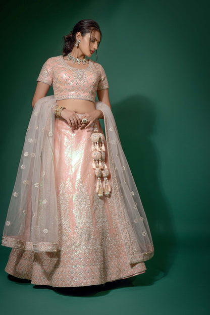 Delightful Pink Coloured Soft Net Lehenga Choli